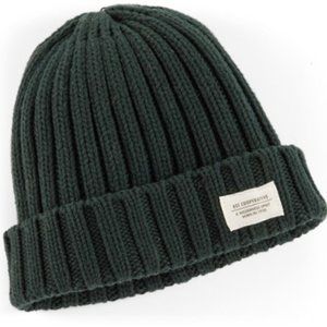 REI Wallace Lake Patch Beanie Green Knit Hat